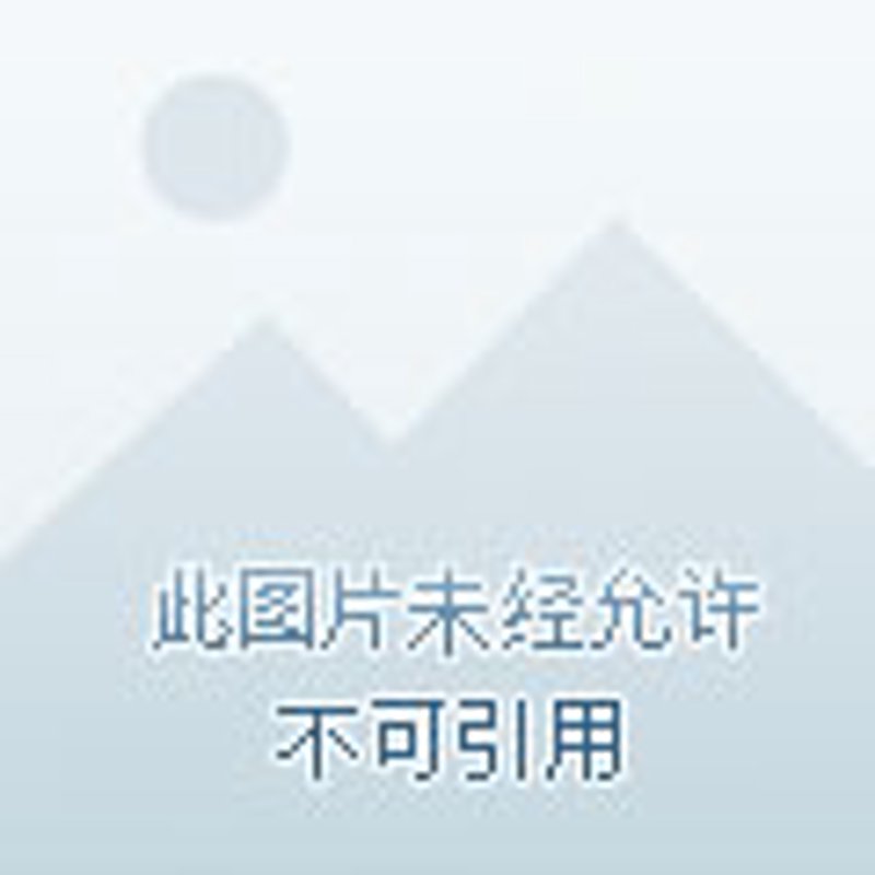 如何挑选热门小说——一本正经的选购指南